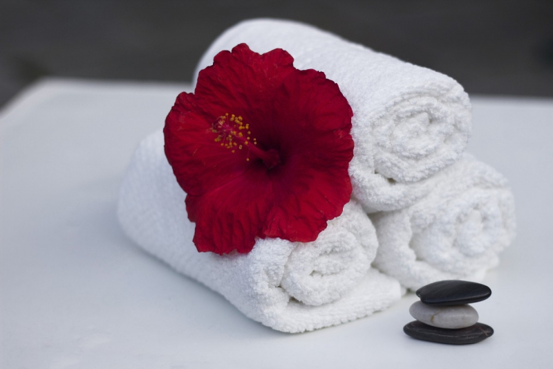 chambre-hote-CUERS-min_towel_hibiscus_clean_care_salon_spa_white_bath-869834